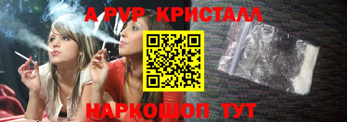 Alfa_PVP СК КРИС Гулькевичи